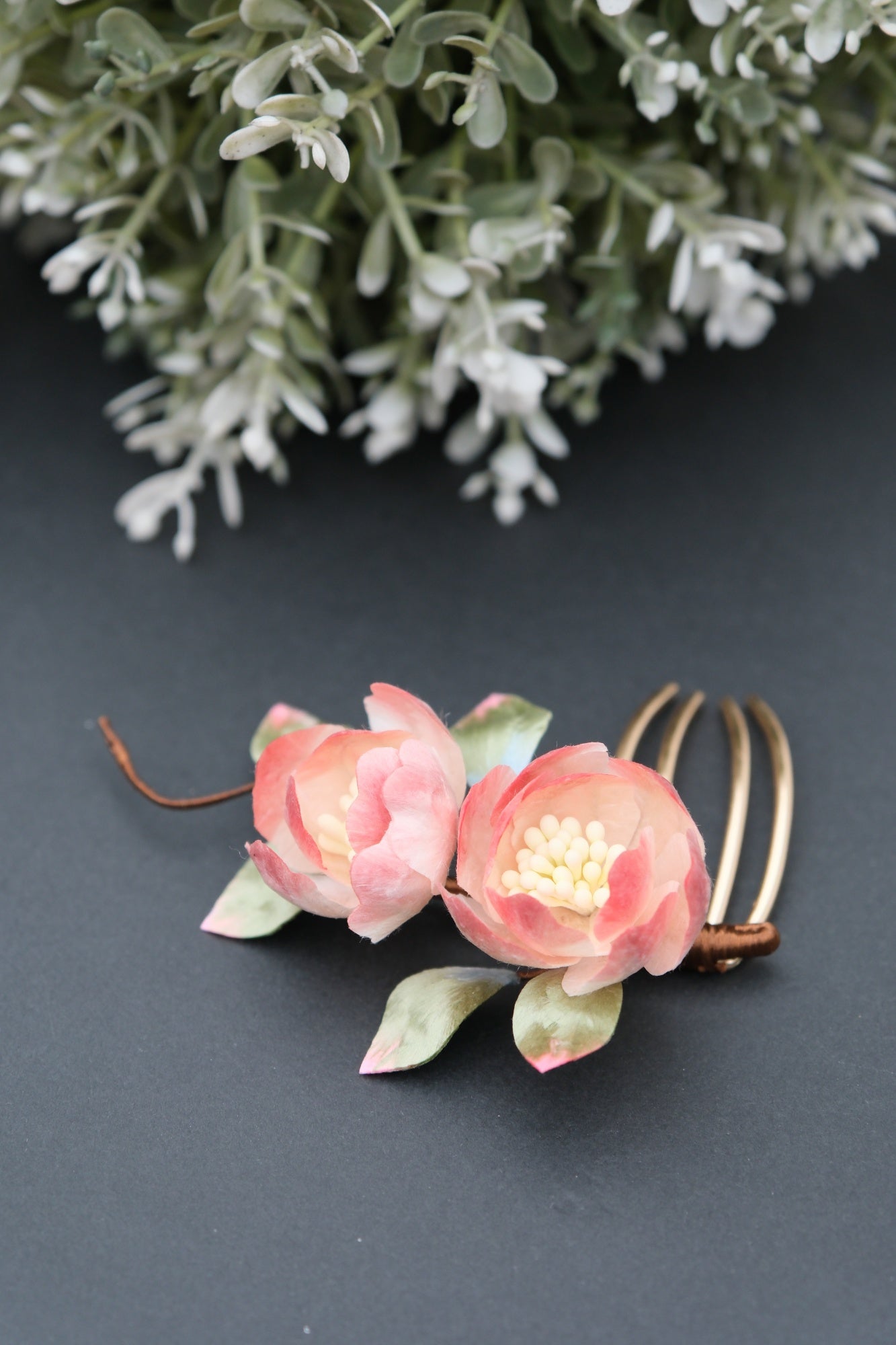 Paeonia