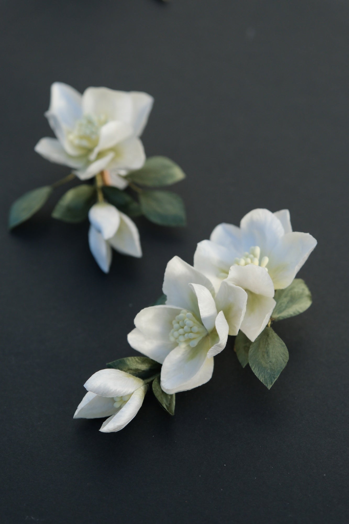 Gardenia