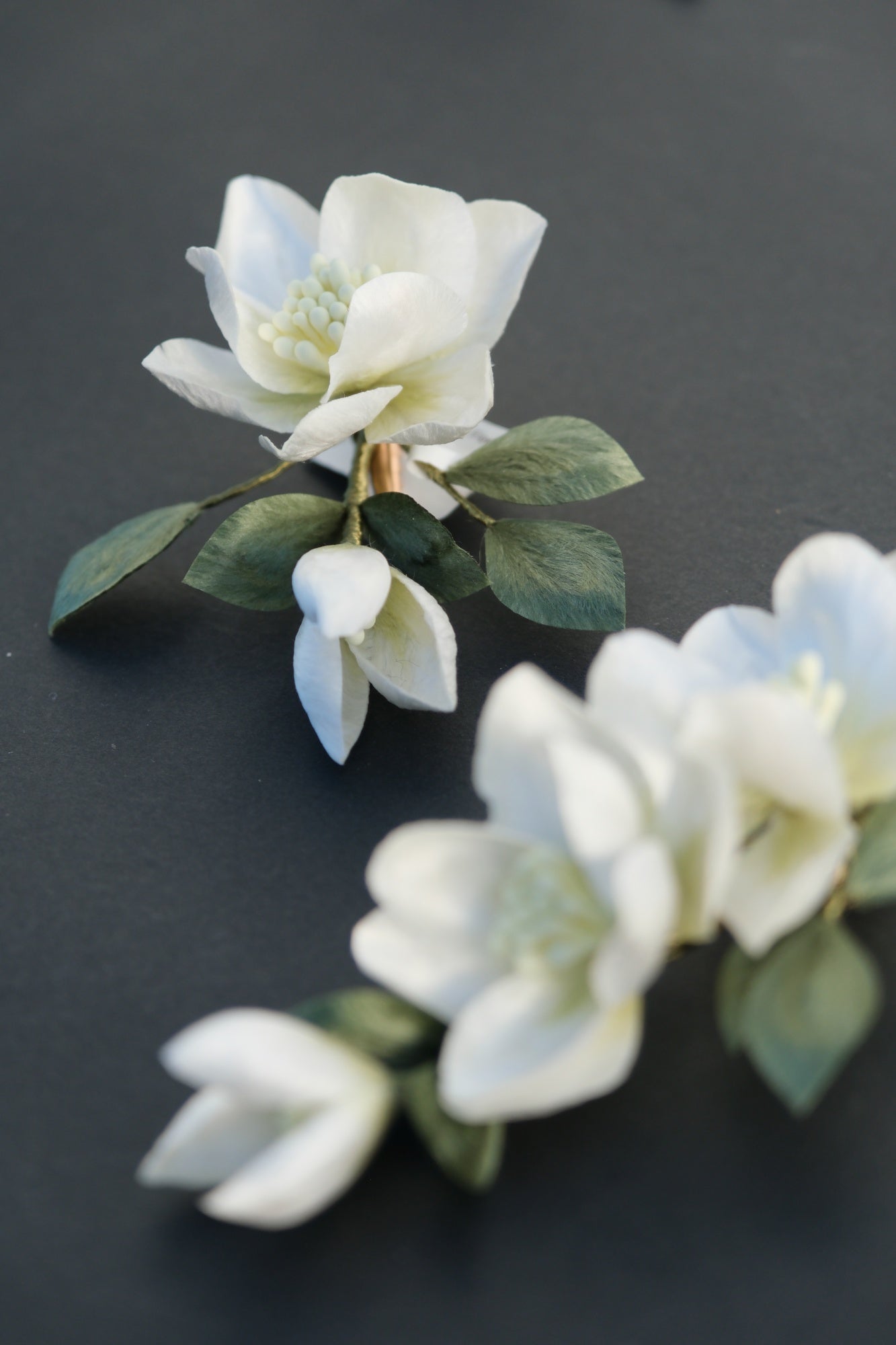 Gardenia