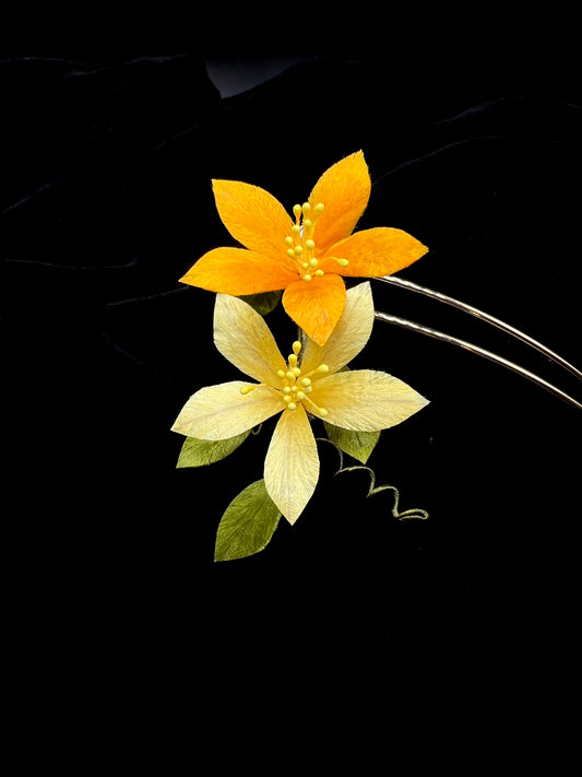 Yellow Clematis